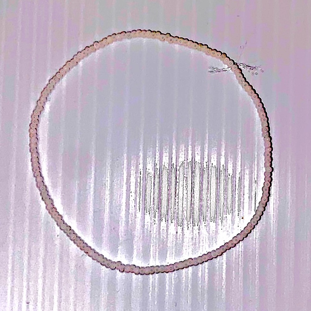 Hii! I’m selling a all white bracelet for 3 dollars.